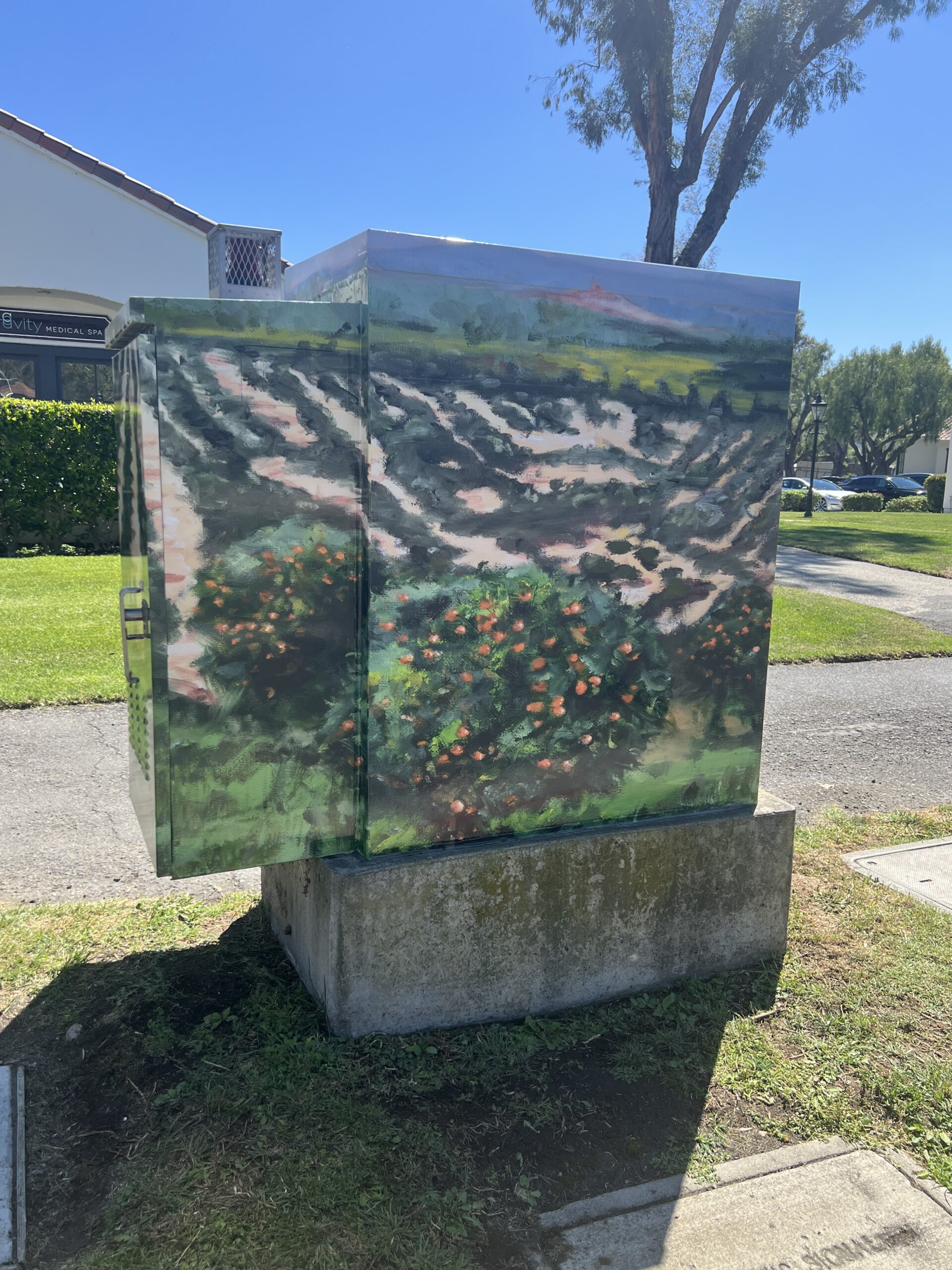 IMG 20260409 151550 scaled